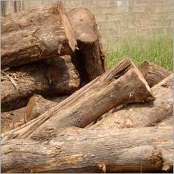 Nigerian Teak Wood