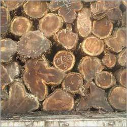 Teak Wood Logs