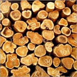 Ghana Teak Logs