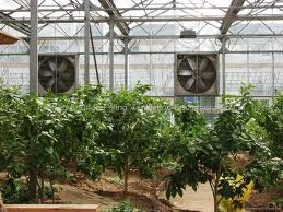 Greenhouse Fan