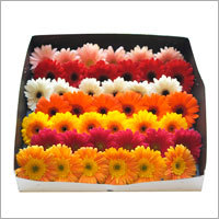 Decorative Gerbera