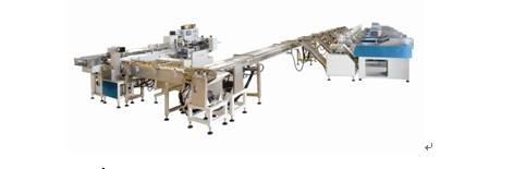 noodle packing machine