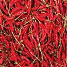 redchillies