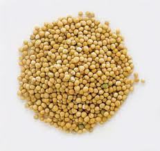 mustard