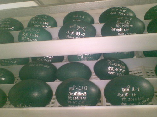 Emu Egg