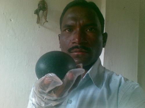 Healthy Emu Egg