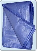 Plastic Tarpaulin