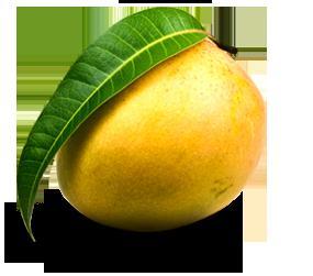 Alphonsa