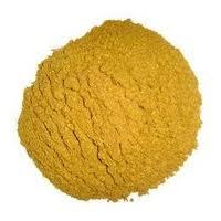 turmeric powder