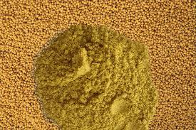 garam masala