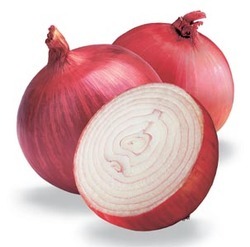 Dehydrated Onion Products
