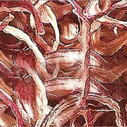 kibbled dehydrate onions