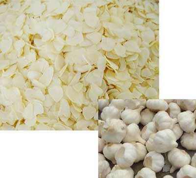 dehydrated garlic manufacturer from India
