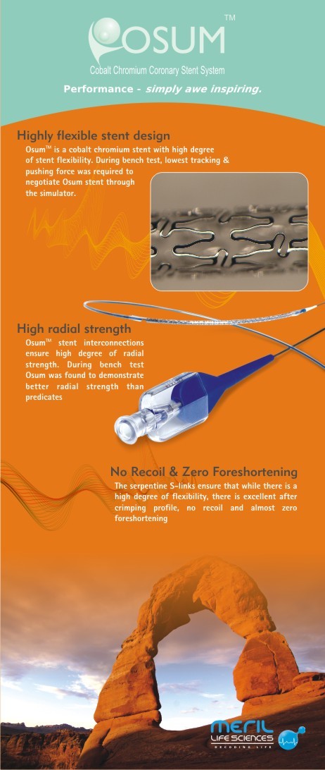 Graphic Design & Multimedia