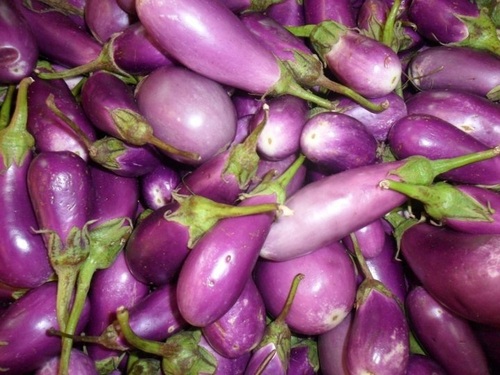 Brinjal