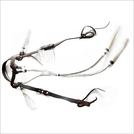 Bridles