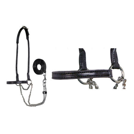Rolled Halter