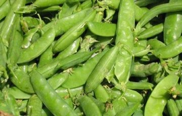 Fresh Peas