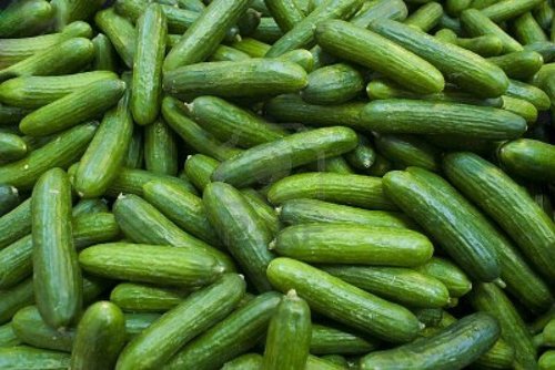 Green Cucumbers