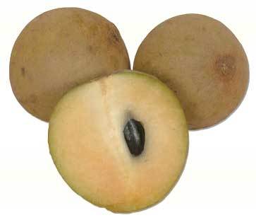 fresh sapota