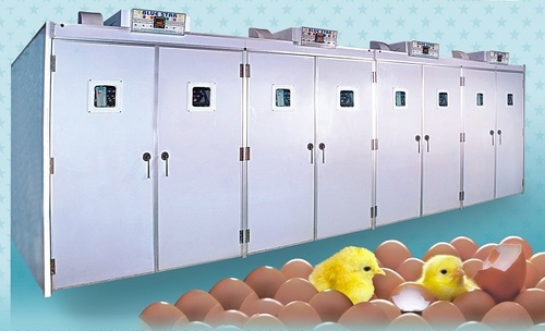 Egg Incubator