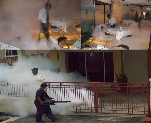 Fogging Against Adult Mosquitoes