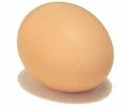 egg