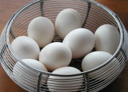 EggBasket3