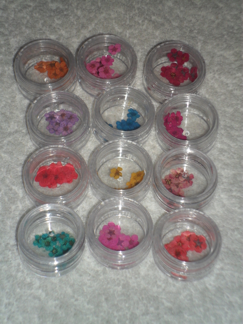 Dry Flowers Nails