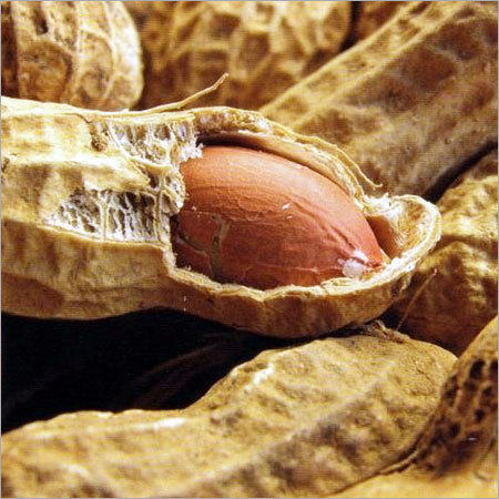 Peanuts