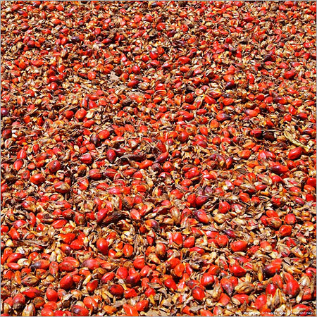 Kernels