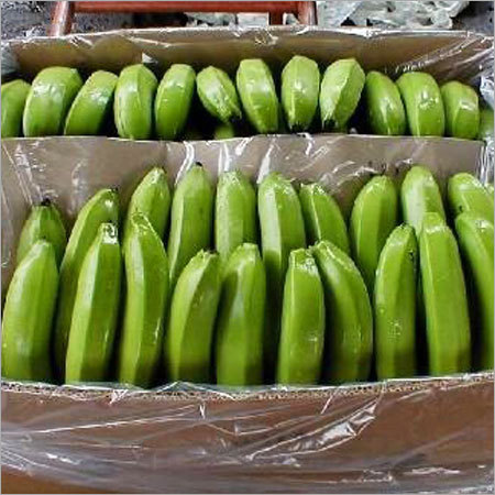 Fresh Green Bananas