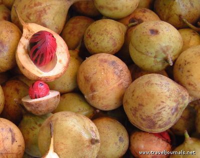 nutmeg