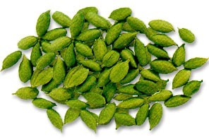 cardamom