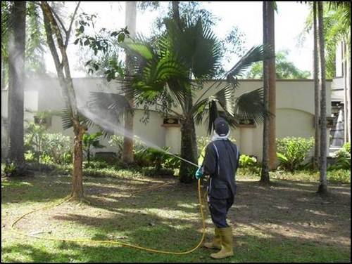 Garden Anti Termite Treatment