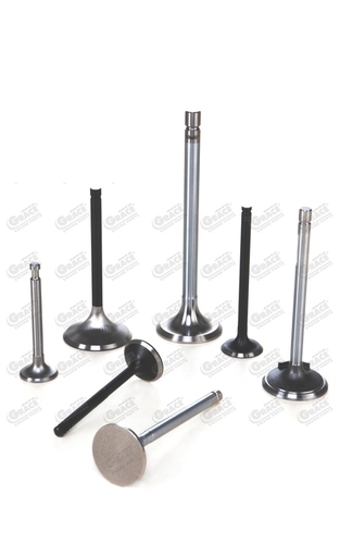 Engine Control Valves