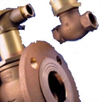 Paddle Flow Switch