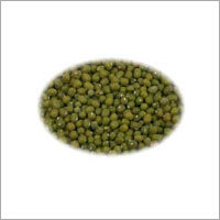 Moong Bean