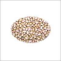 Moth Bean Sibbi