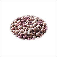 Toor Whole