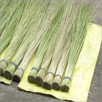 Coconut Broomstick