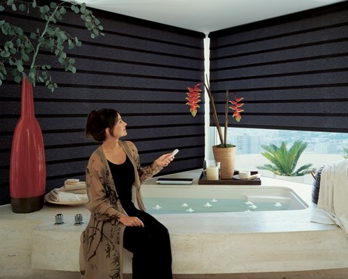 Motorisation Blinds