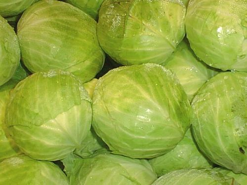 Cabbages