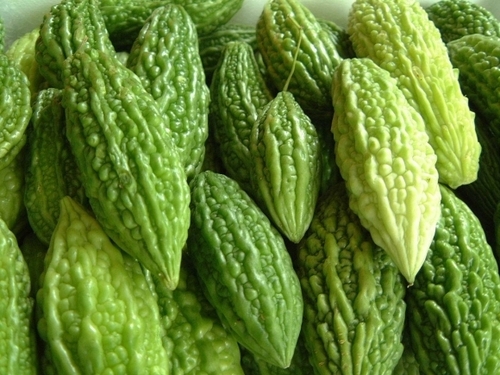 bitter gourd