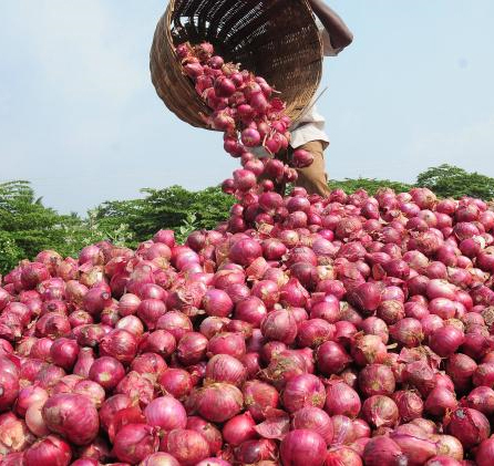 Onion