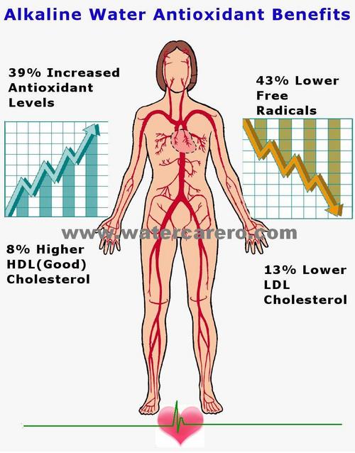 Antioxidant Alkaline Water - pH 8.0-9.5, ORP -200 to -300 | Improved Heart Health, Lower Blood Pressure, Reduced Cholesterol