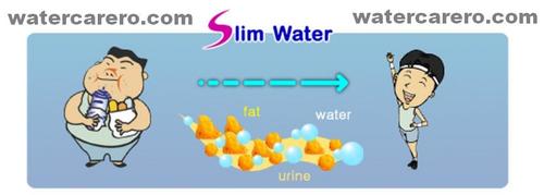 antioxidant alkaline water benefits Obesity