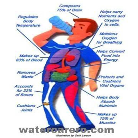 Benefits Of Alkaline Antioxidant Water