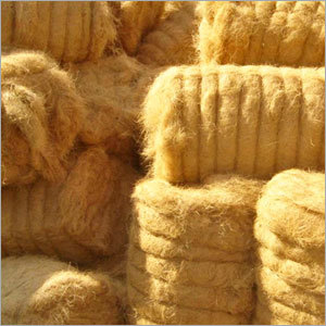 Coir Fibre