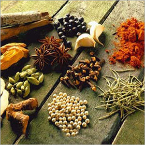 Indian Spices
